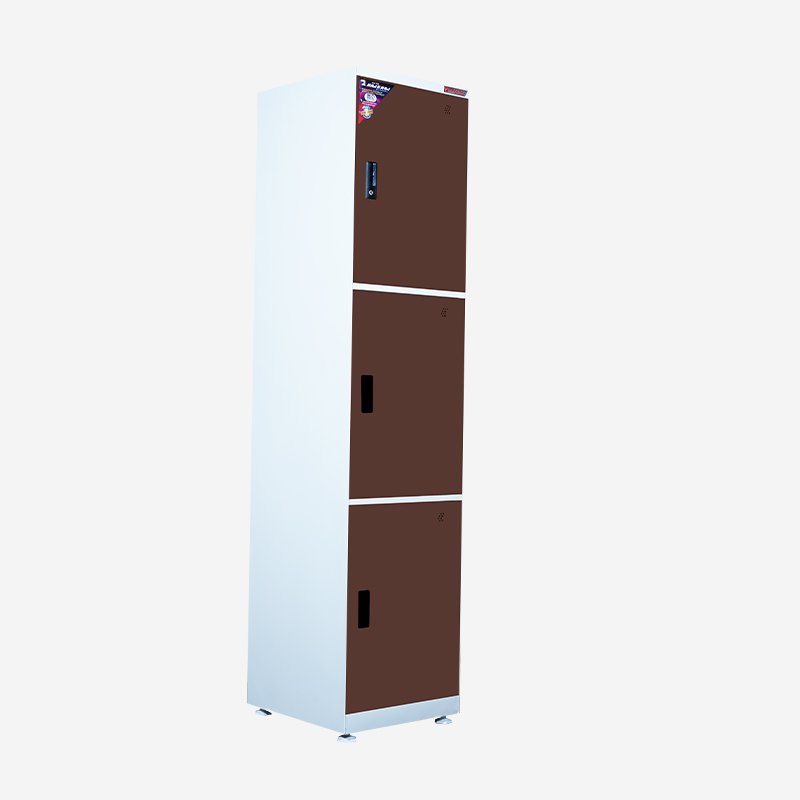Raj Locker L3