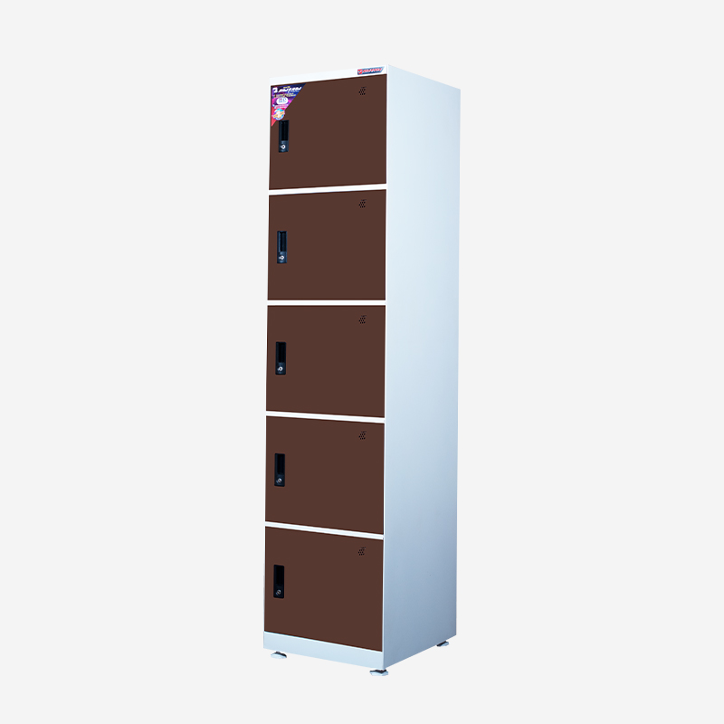Raj Locker L5
