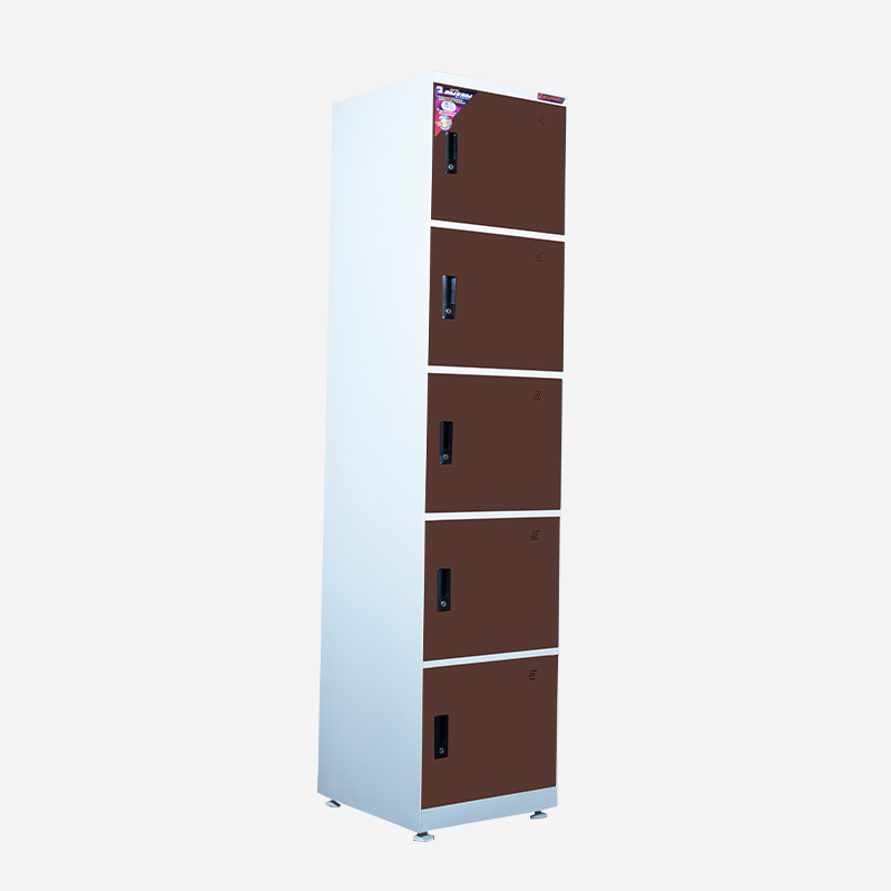 Raj Locker L5