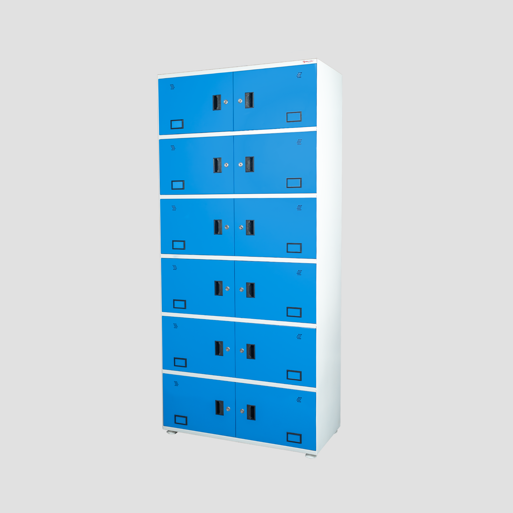 Raj Industrial Locker L212