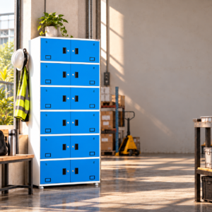 Raj Industrial Locker L212